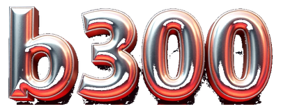 b300 logo